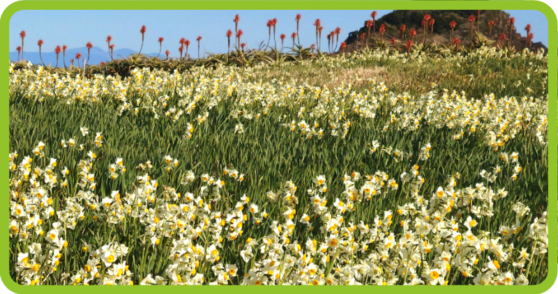 1334x704 Blog  Timegate tumekisaki