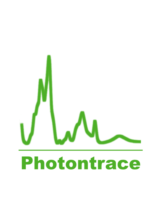 954x1300 Pt logo green transparent 954x1300 Pt logo green transparent