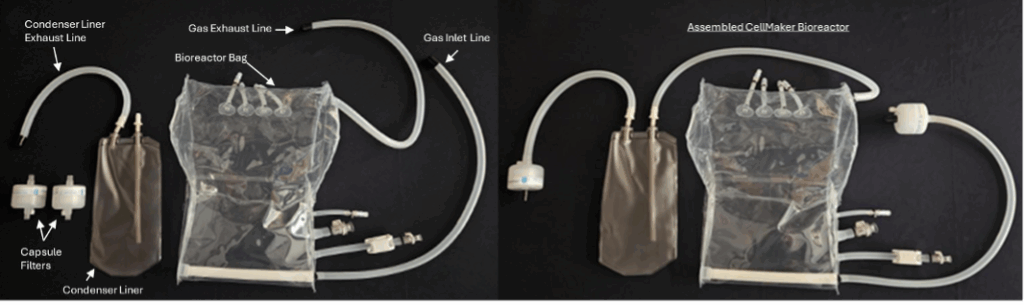 Bioreactor-Assembly-1024x305