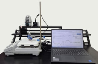 PaeoniaSystem