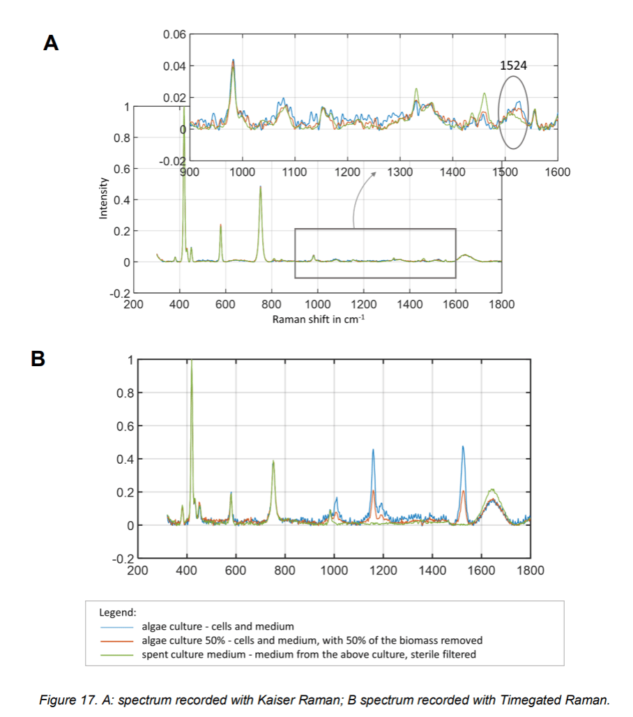 Screenshot 2026-02-03 at 15.40.01