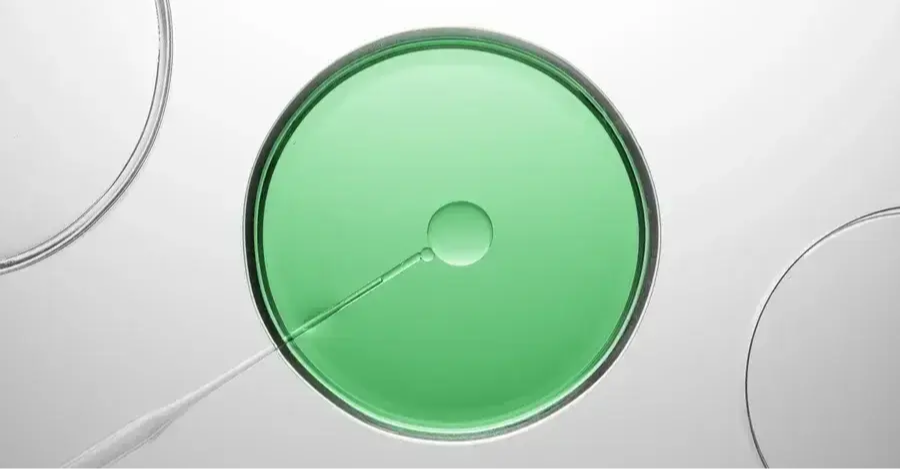 petri-dish-sample-spiking-1