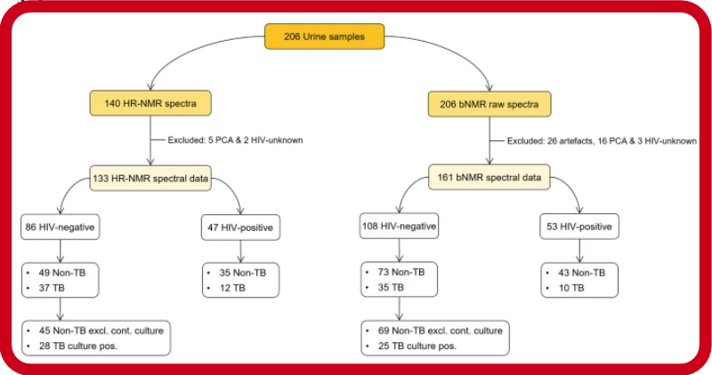1334x704 Blog  MG red-1