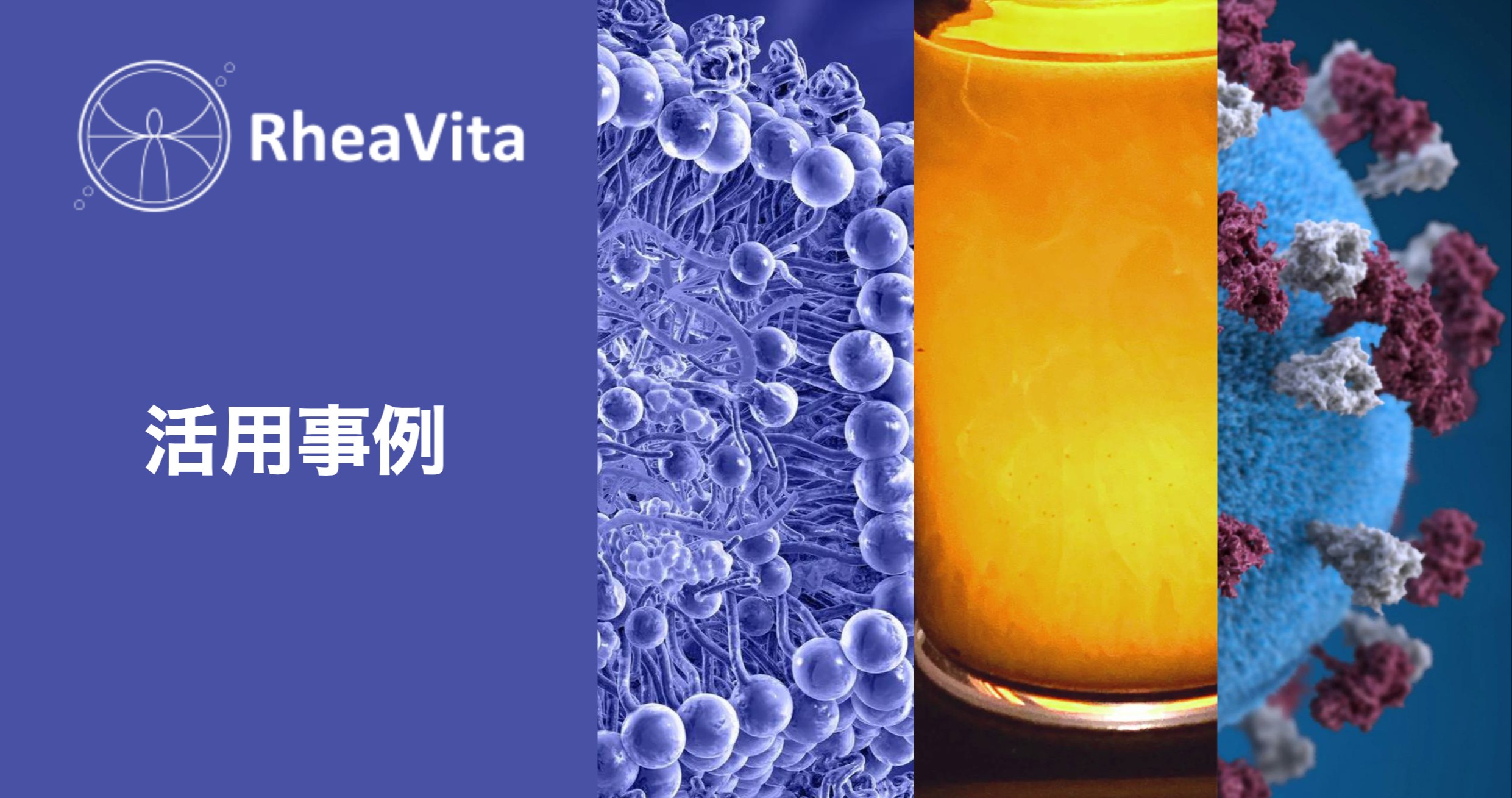 Blog ページ用RheaVita Use case