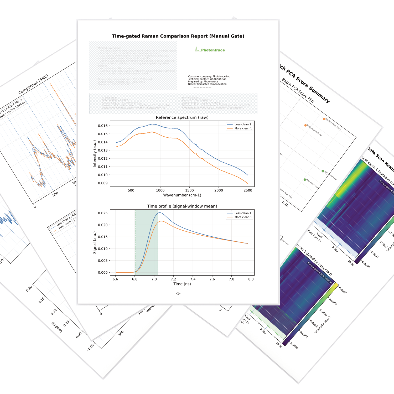 Pt report sample II