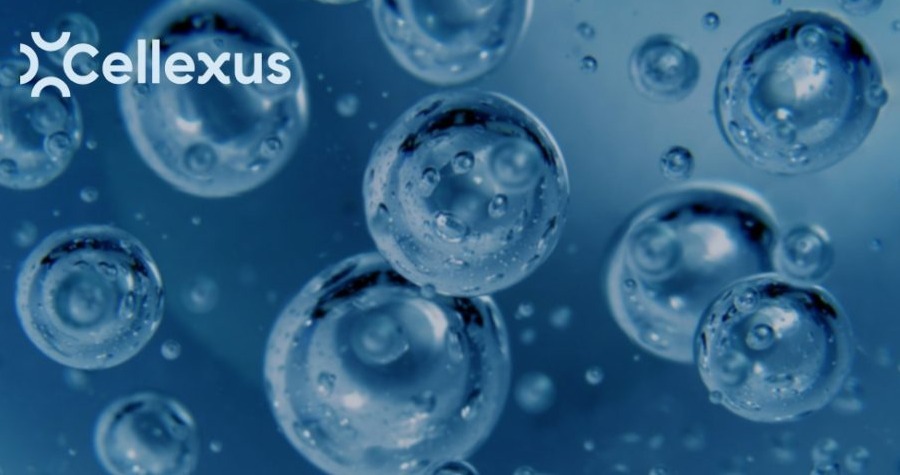 Volumetric-Mass-Transfer-Coefficient-blog-image-2-1024x512