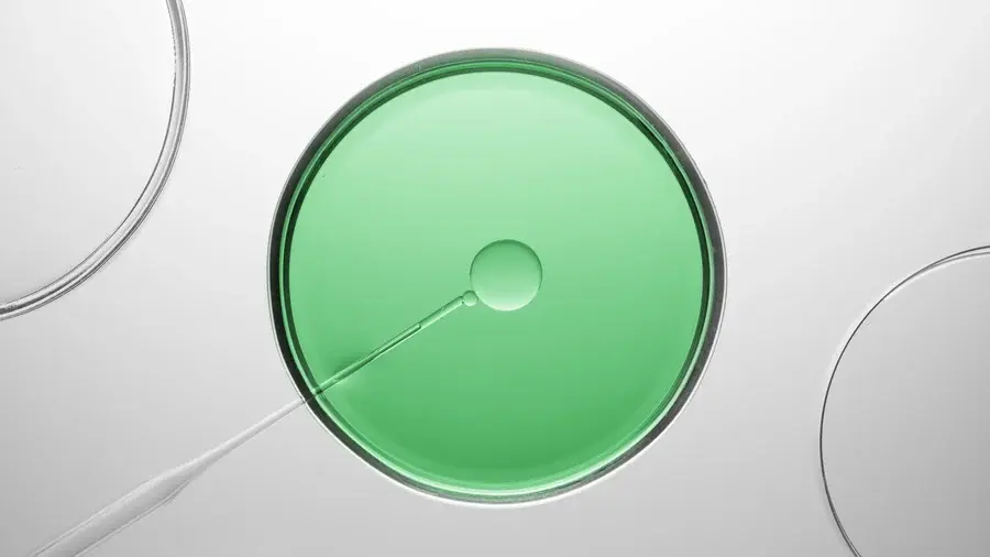 petri-dish-sample-spiking